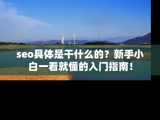 seo具体是干什么的？新手小白一看就懂的入门指南！