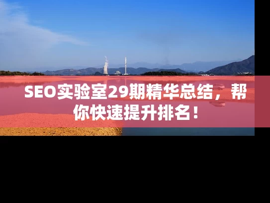 SEO实验室29期精华总结，帮你快速提升排名！