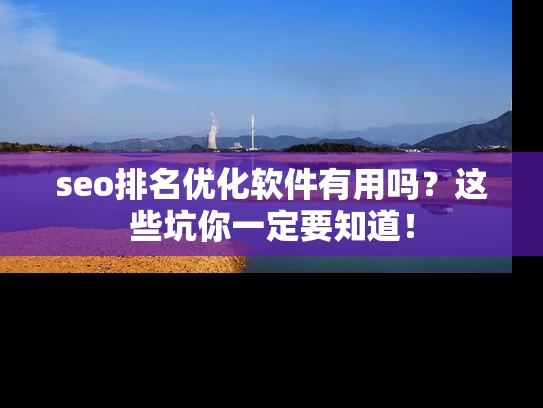 seo排名优化软件有用吗？这些坑你一定要知道！