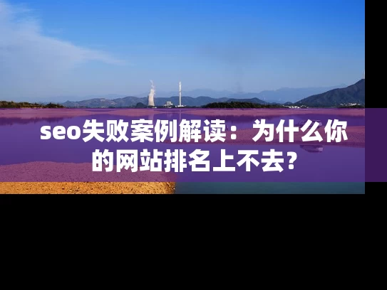 seo失败案例解读：为什么你的网站排名上不去？