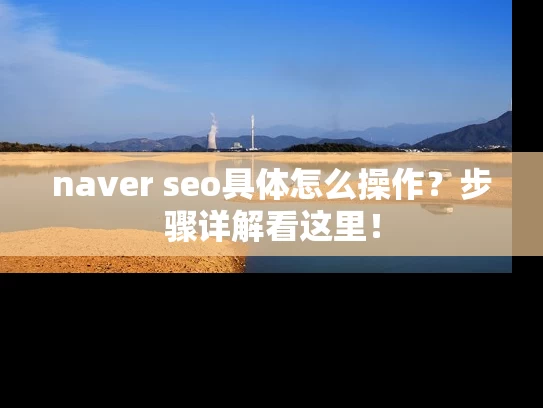 naver seo具体怎么操作？步骤详解看这里！
