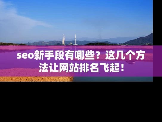 seo新手段有哪些？这几个方法让网站排名飞起！
