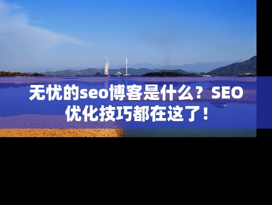 无忧的seo博客是什么？SEO优化技巧都在这了！