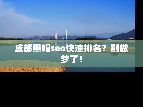 成都黑帽seo快速排名？别做梦了！