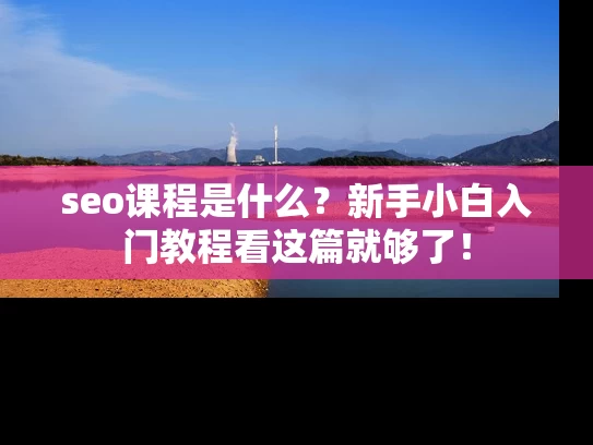 seo课程是什么？新手小白入门教程看这篇就够了！