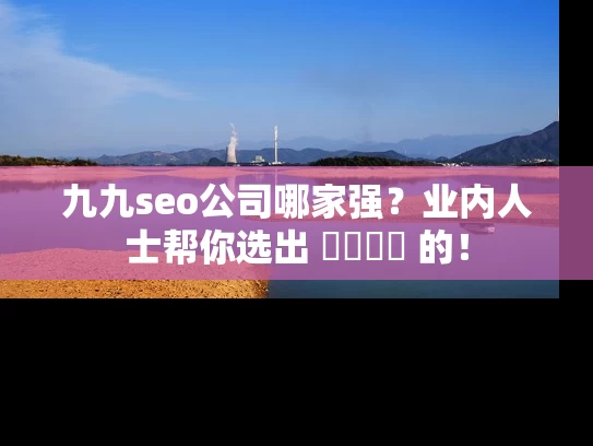 九九seo公司哪家强？业内人士帮你选出 সেরা 的！