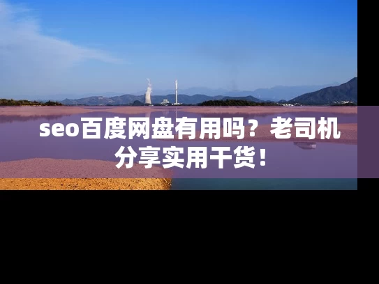 seo百度网盘有用吗？老司机分享实用干货！