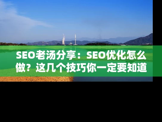 SEO老汤分享：SEO优化怎么做？这几个技巧你一定要知道！