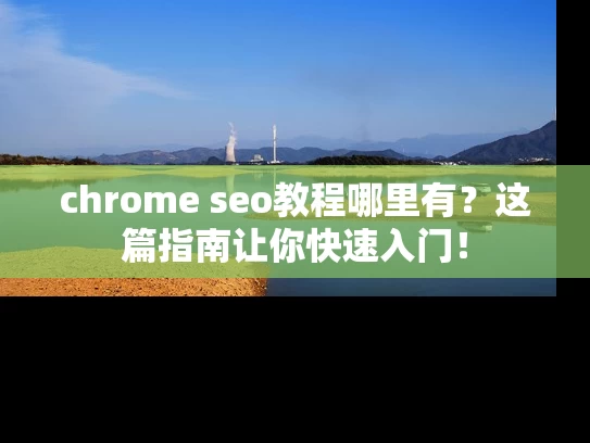 chrome seo教程哪里有？这篇指南让你快速入门！