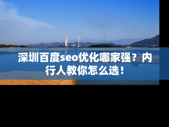 深圳百度seo优化哪家强？内行人教你怎么选！