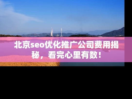 北京seo优化推广公司费用揭秘，看完心里有数！