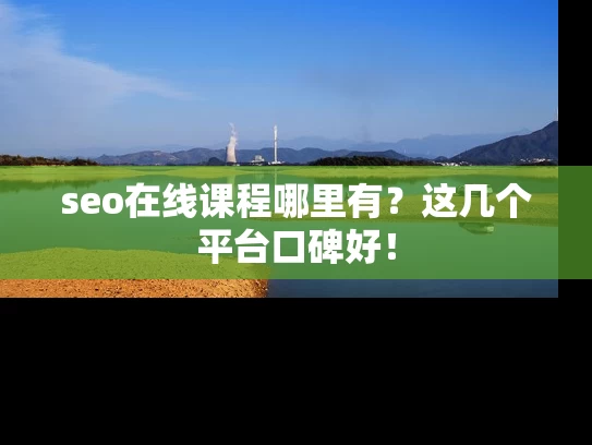 seo在线课程哪里有？这几个平台口碑好！