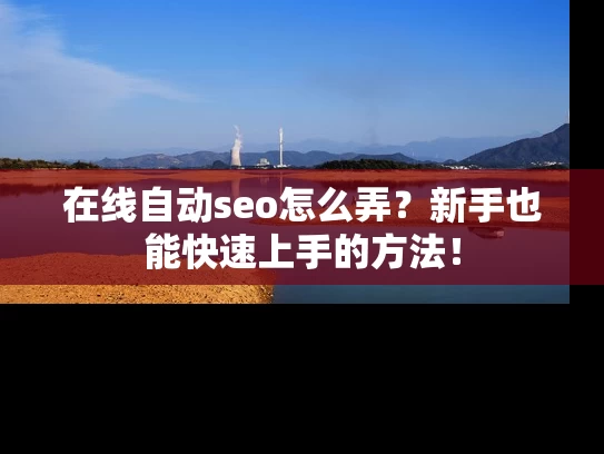 在线自动seo怎么弄？新手也能快速上手的方法！