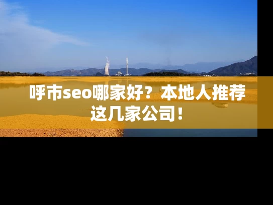 呼市seo哪家好？本地人推荐这几家公司！