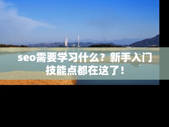 seo需要学习什么？新手入门技能点都在这了！