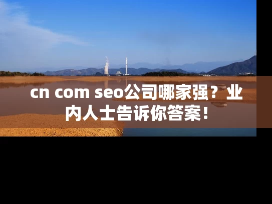 cn com seo公司哪家强？业内人士告诉你答案！