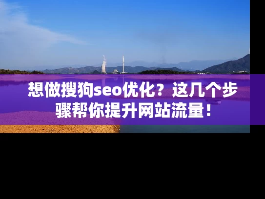 想做搜狗seo优化？这几个步骤帮你提升网站流量！