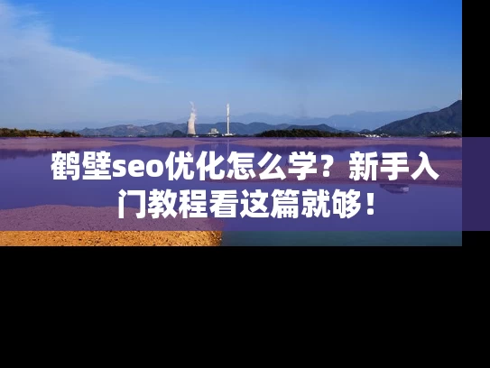 鹤壁seo优化怎么学？新手入门教程看这篇就够！