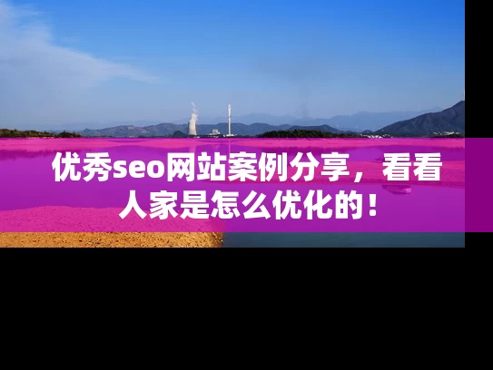 优秀seo网站案例分享，看看人家是怎么优化的！