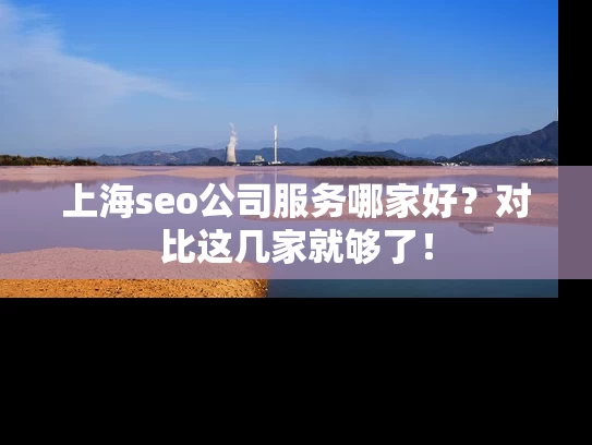 上海seo公司服务哪家好？对比这几家就够了！