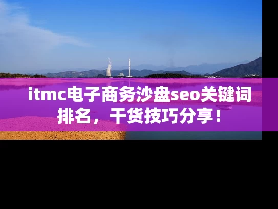 itmc电子商务沙盘seo关键词排名，干货技巧分享！