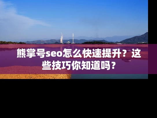 熊掌号seo怎么快速提升？这些技巧你知道吗？