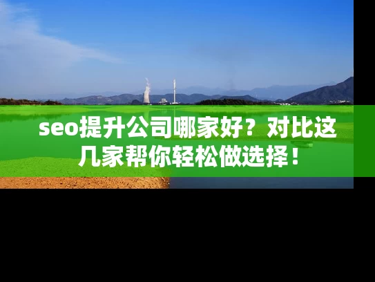 seo提升公司哪家好？对比这几家帮你轻松做选择！
