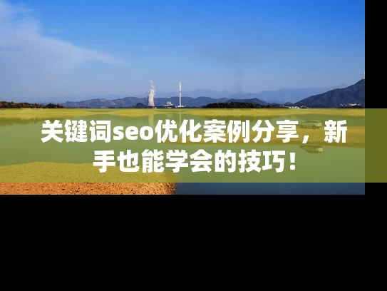 关键词seo优化案例分享，新手也能学会的技巧！