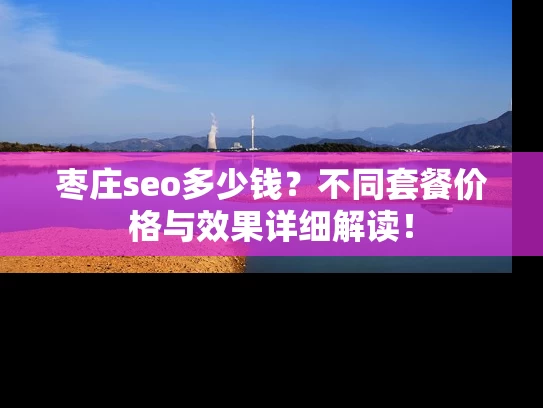 枣庄seo多少钱？不同套餐价格与效果详细解读！