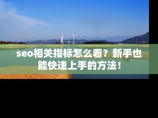 seo相关指标怎么看？新手也能快速上手的方法！