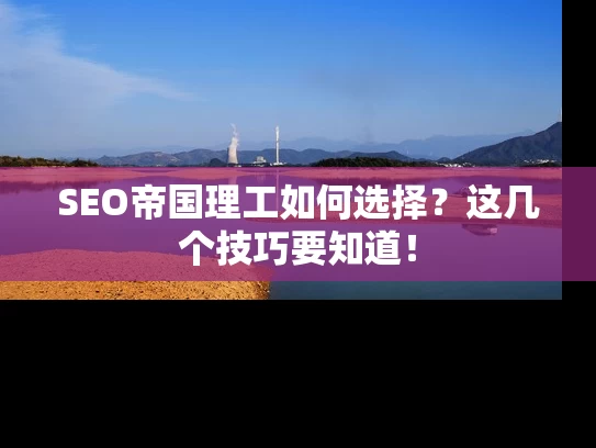 SEO帝国理工如何选择？这几个技巧要知道！
