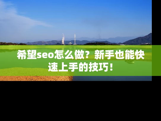 希望seo怎么做？新手也能快速上手的技巧！