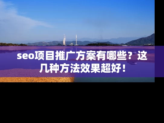 seo项目推广方案有哪些？这几种方法效果超好！