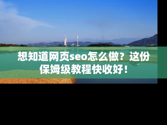 想知道网页seo怎么做？这份保姆级教程快收好！