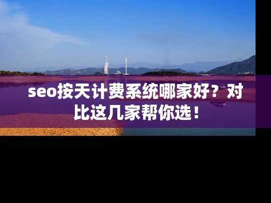 seo按天计费系统哪家好？对比这几家帮你选！