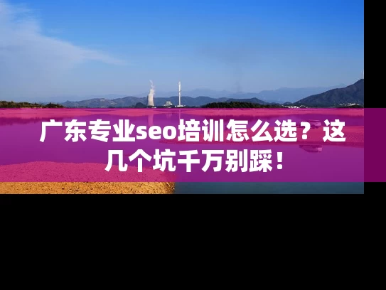 广东专业seo培训怎么选？这几个坑千万别踩！