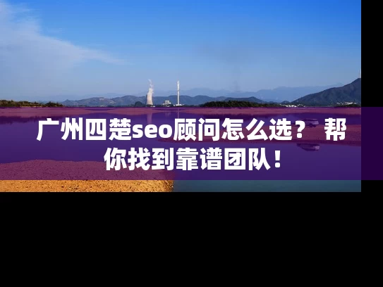 广州四楚seo顾问怎么选？ 帮你找到靠谱团队！