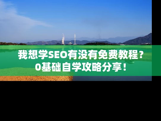 我想学SEO有没有免费教程？0基础自学攻略分享！
