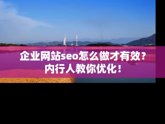 企业网站seo怎么做才有效？内行人教你优化！