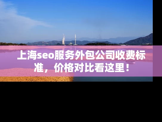 上海seo服务外包公司收费标准，价格对比看这里！