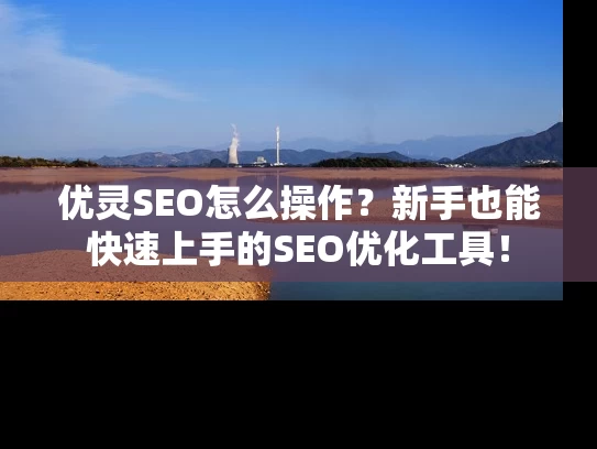 优灵SEO怎么操作？新手也能快速上手的SEO优化工具！