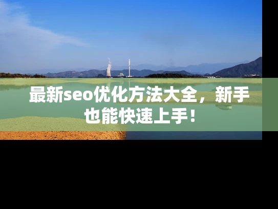 最新seo优化方法大全，新手也能快速上手！