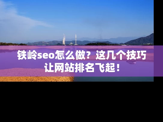 铁岭seo怎么做？这几个技巧让网站排名飞起！