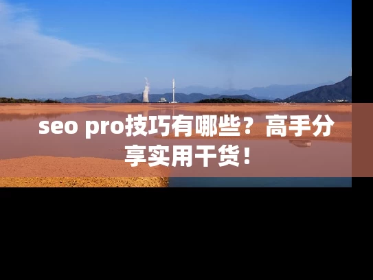 seo pro技巧有哪些？高手分享实用干货！