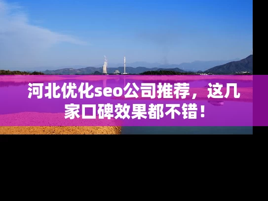 河北优化seo公司推荐，这几家口碑效果都不错！