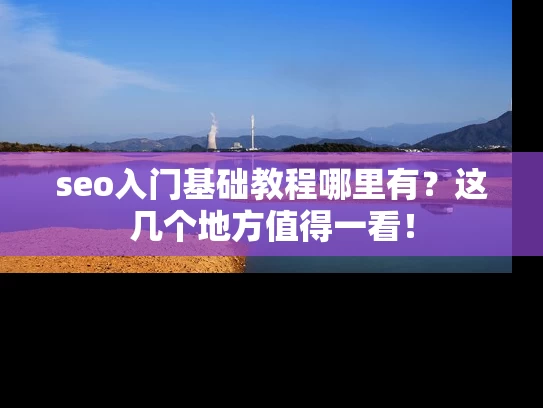 seo入门基础教程哪里有？这几个地方值得一看！