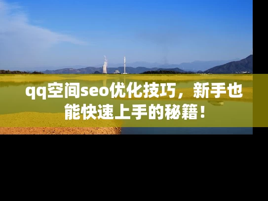 qq空间seo优化技巧，新手也能快速上手的秘籍！