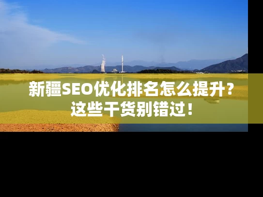 新疆SEO优化排名怎么提升？这些干货别错过！
