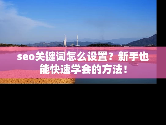 seo关键词怎么设置？新手也能快速学会的方法！
