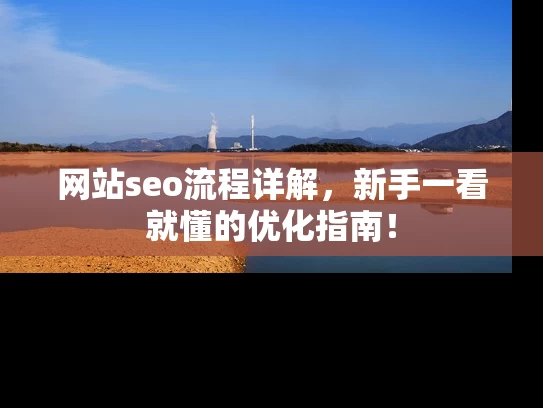 网站seo流程详解，新手一看就懂的优化指南！